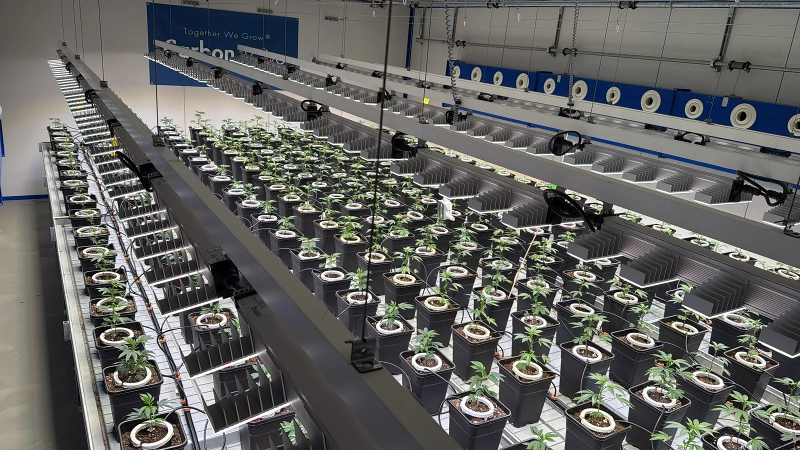 South Side Organics e.V. Raum Stuttgart — Aufbau- und Anlagenaufnahme 6