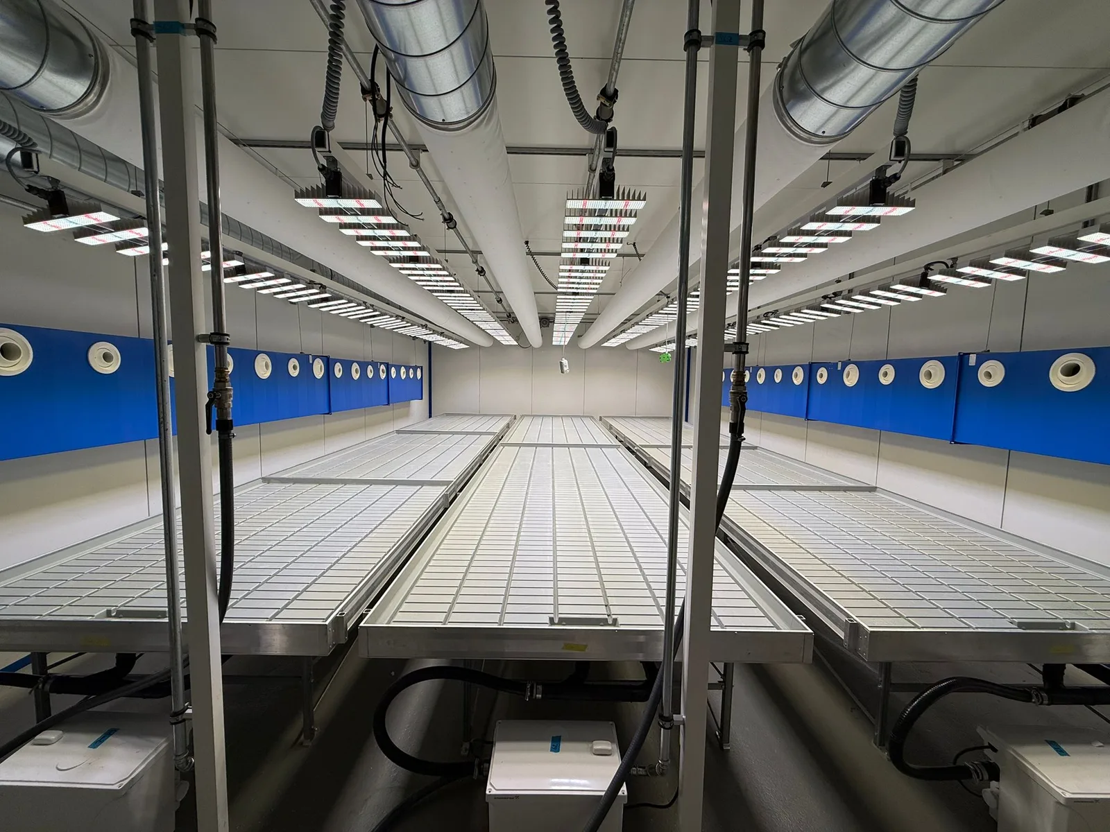 South Side Organics e.V. Raum Stuttgart — Aufbau- und Anlagenaufnahme 7
