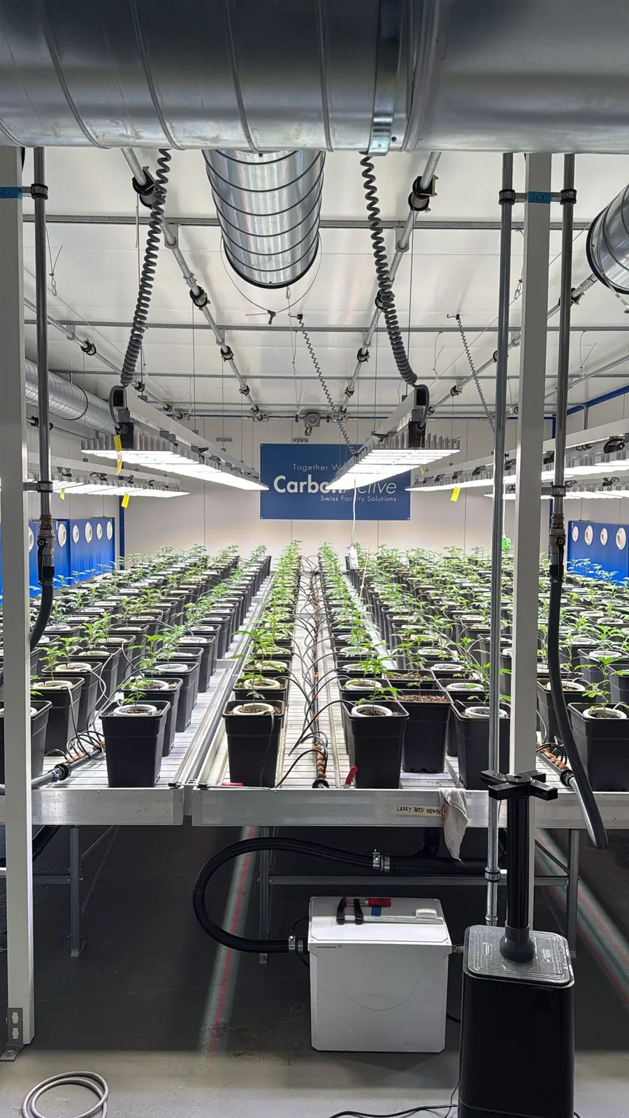 South Side Organics e.V. Raum Stuttgart — Aufbau- und Anlagenaufnahme 8